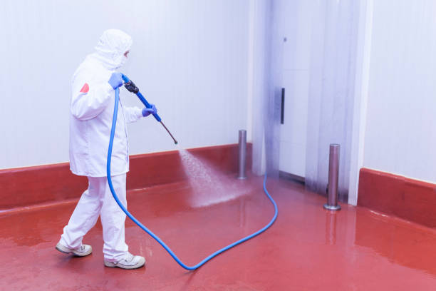 Pre-Holiday Cleaning in San Bruno, CA